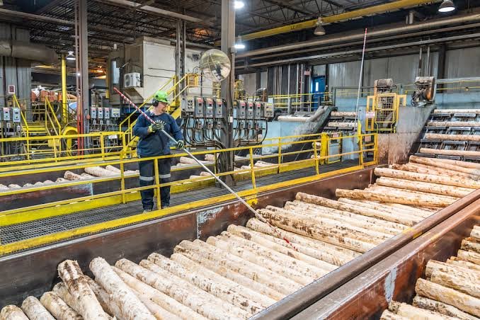 European Forestry and Timber Supply