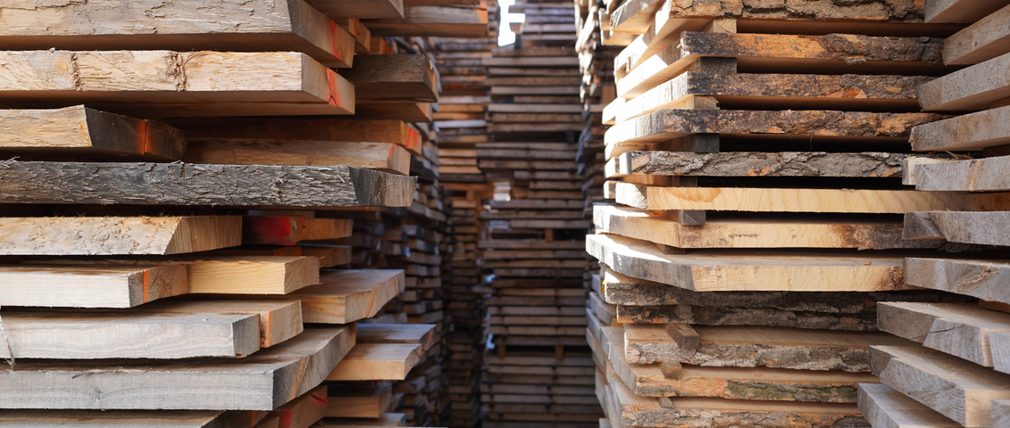REINT WOOD Sawn Timber