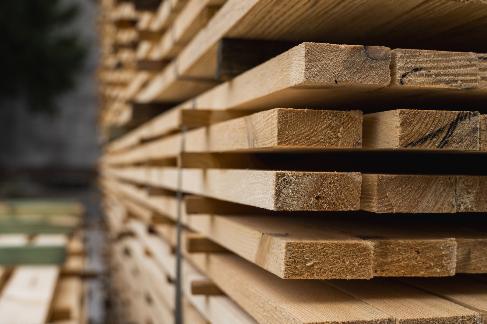 Sawn Timber Forestry Products