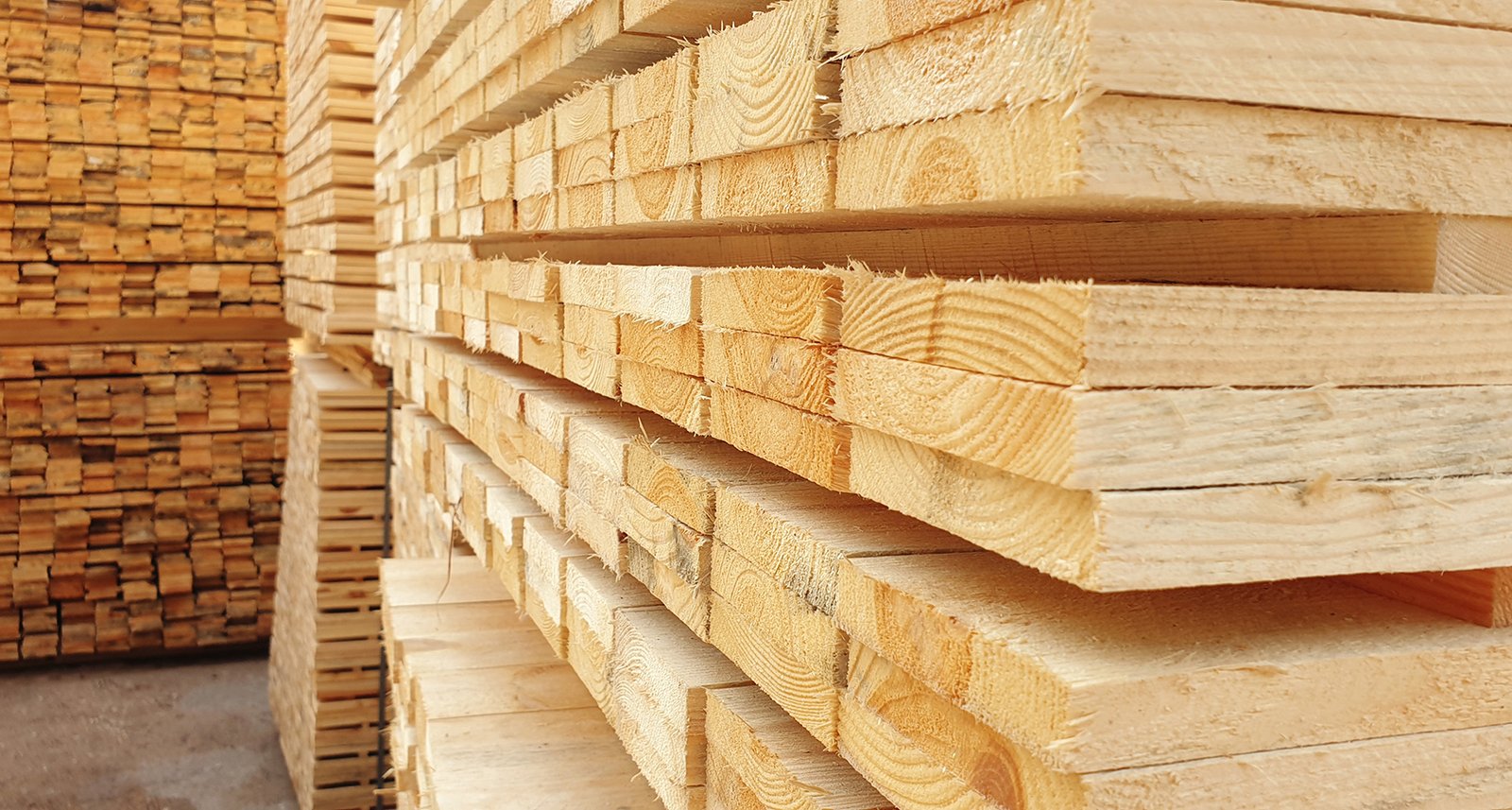 REINT WOOD Sawn Timber Forestry Product