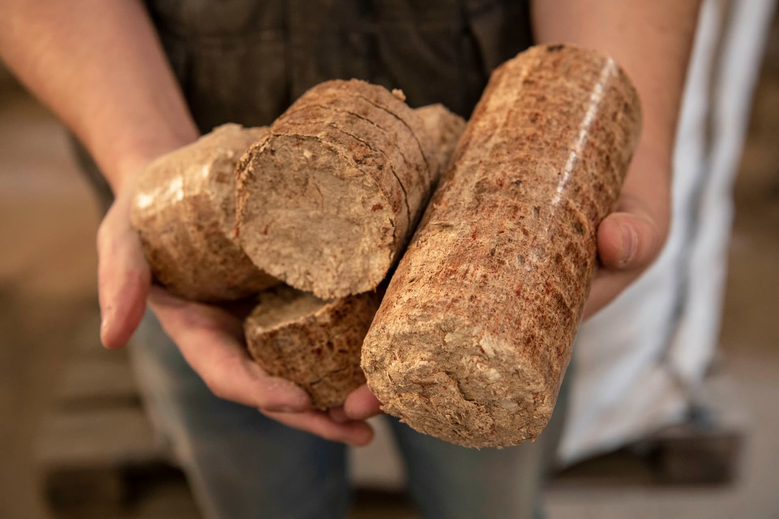 REINT WOOD Wood Briquettes Forestry Product