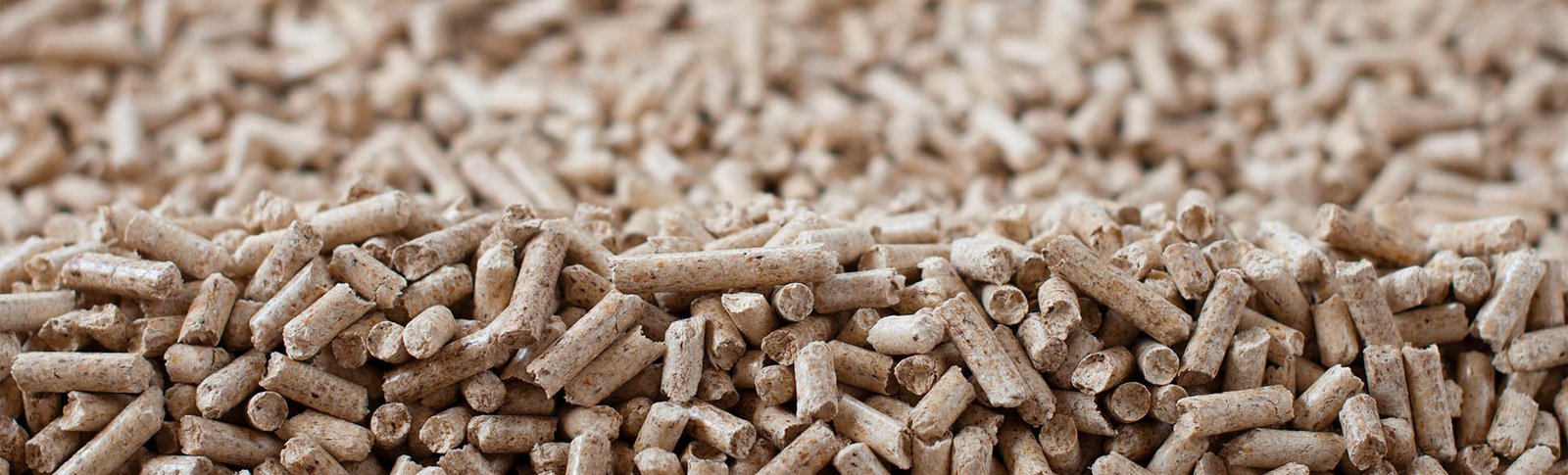 Biomass Fuel Solutions