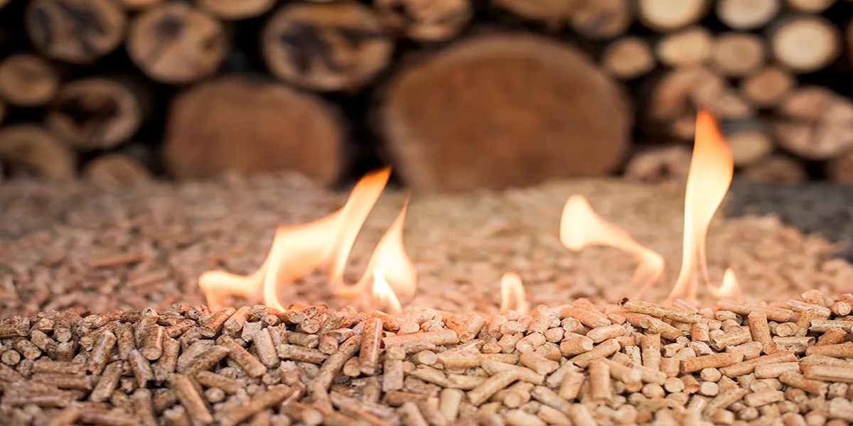 REINT WOOD sustainable forestry and timber supply