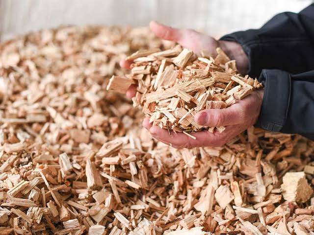 Wood Chips Forestry Products