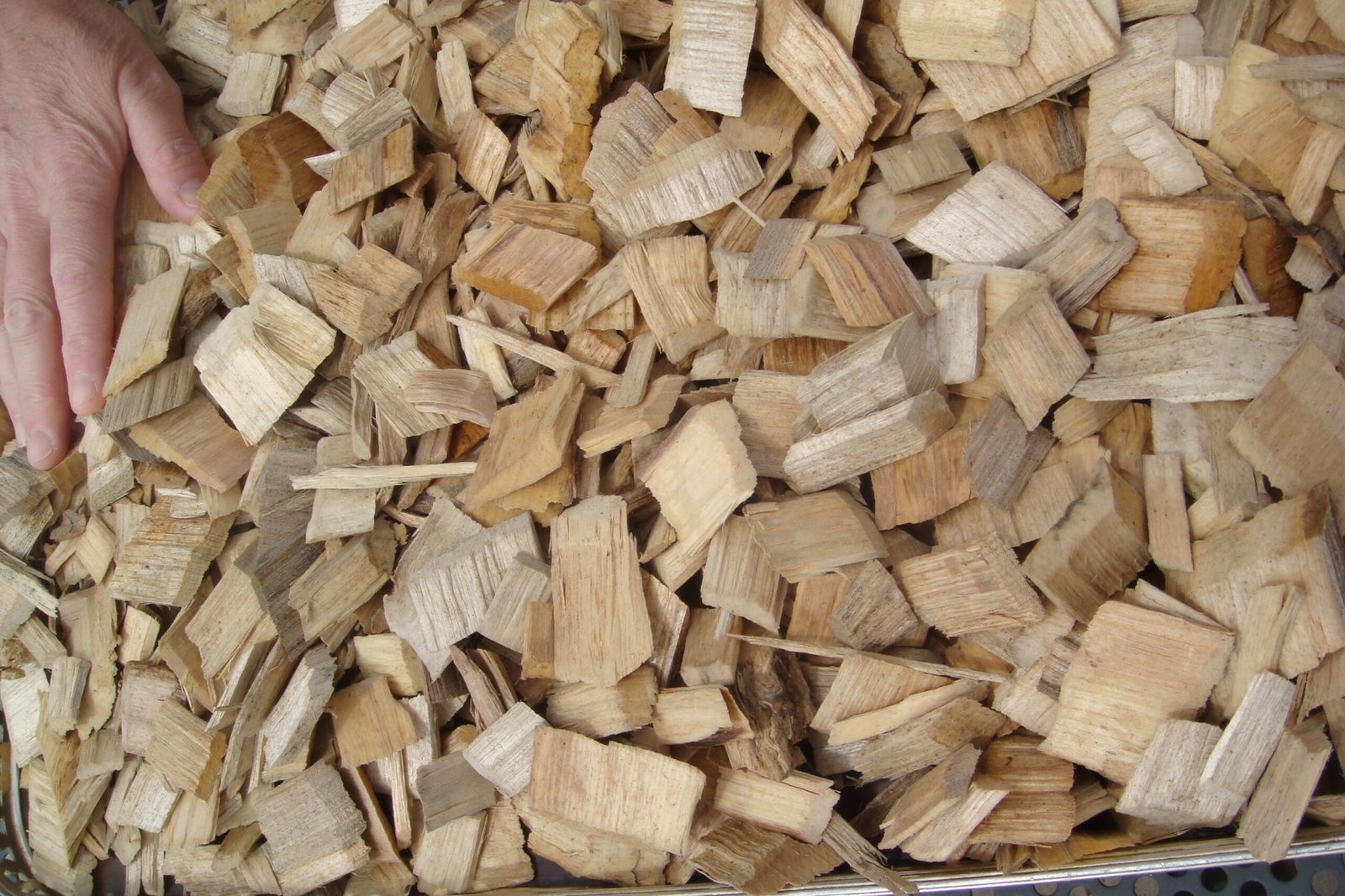 Wood Chips Supply