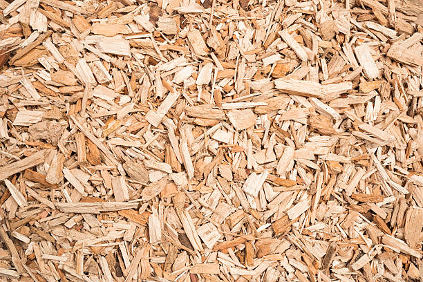 REINT WOOD Wood Chips Forestry Product
